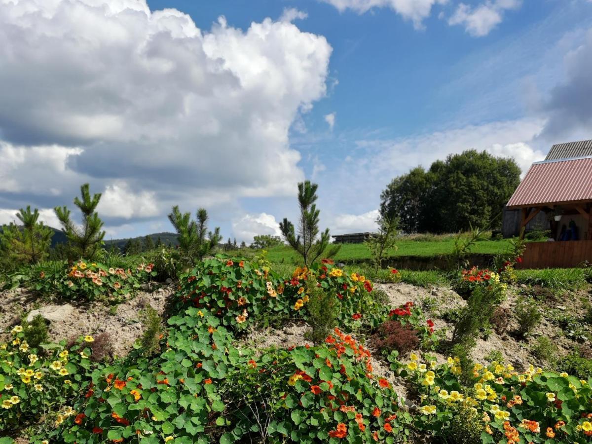Омріяні Карпати Villa Smozhe Eksteriør bilde