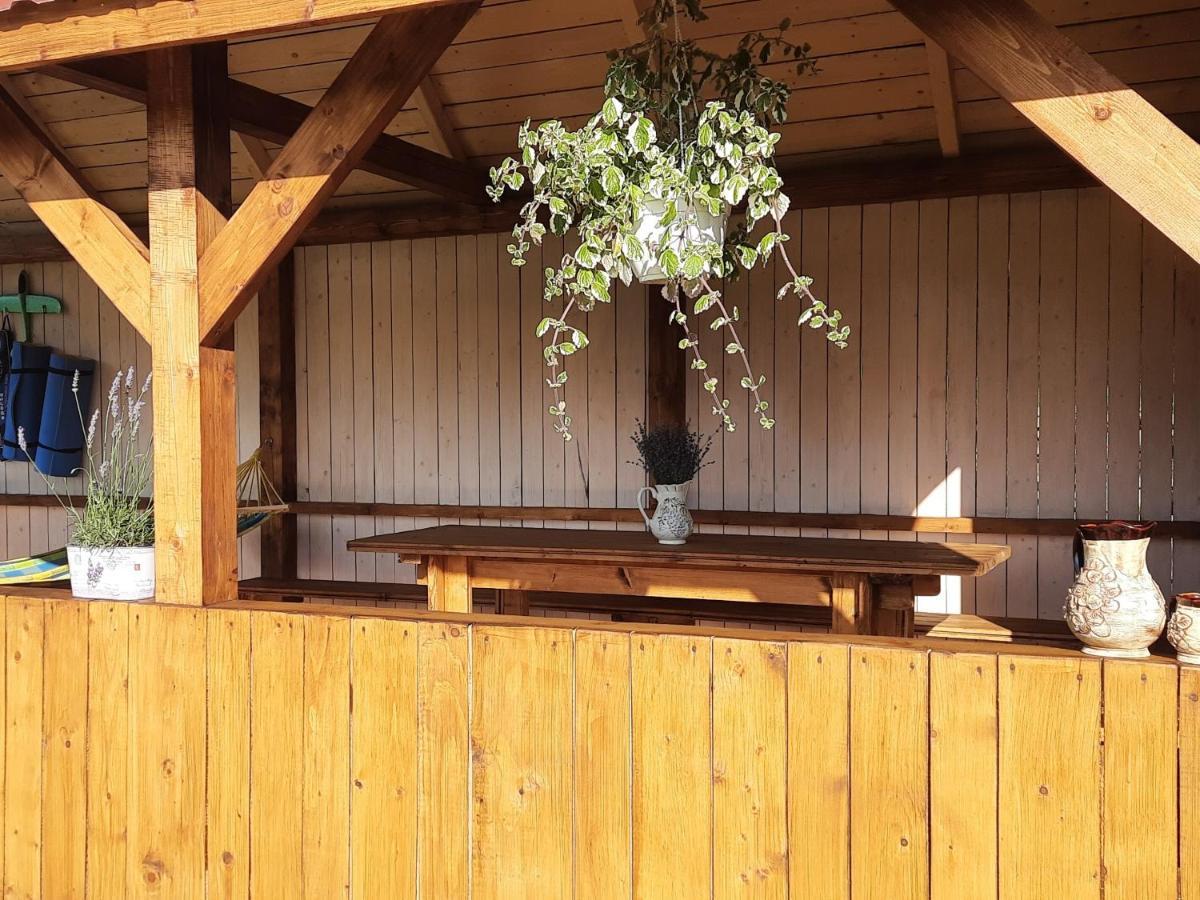 Омріяні Карпати Villa Smozhe Eksteriør bilde