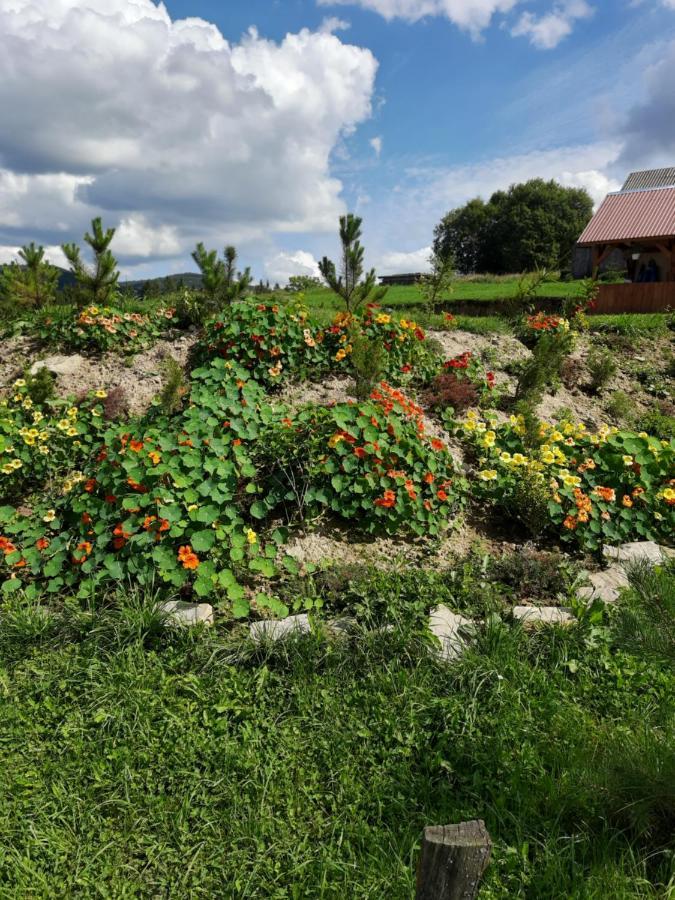 Омріяні Карпати Villa Smozhe Eksteriør bilde